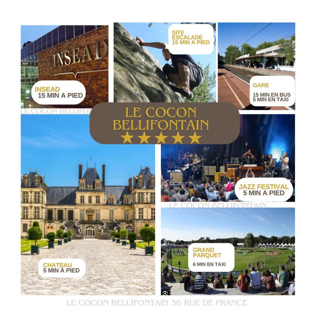 Le Cocon De Fontainebleau - Centre-Ville, Proche Insead & Chateau Экстерьер фото